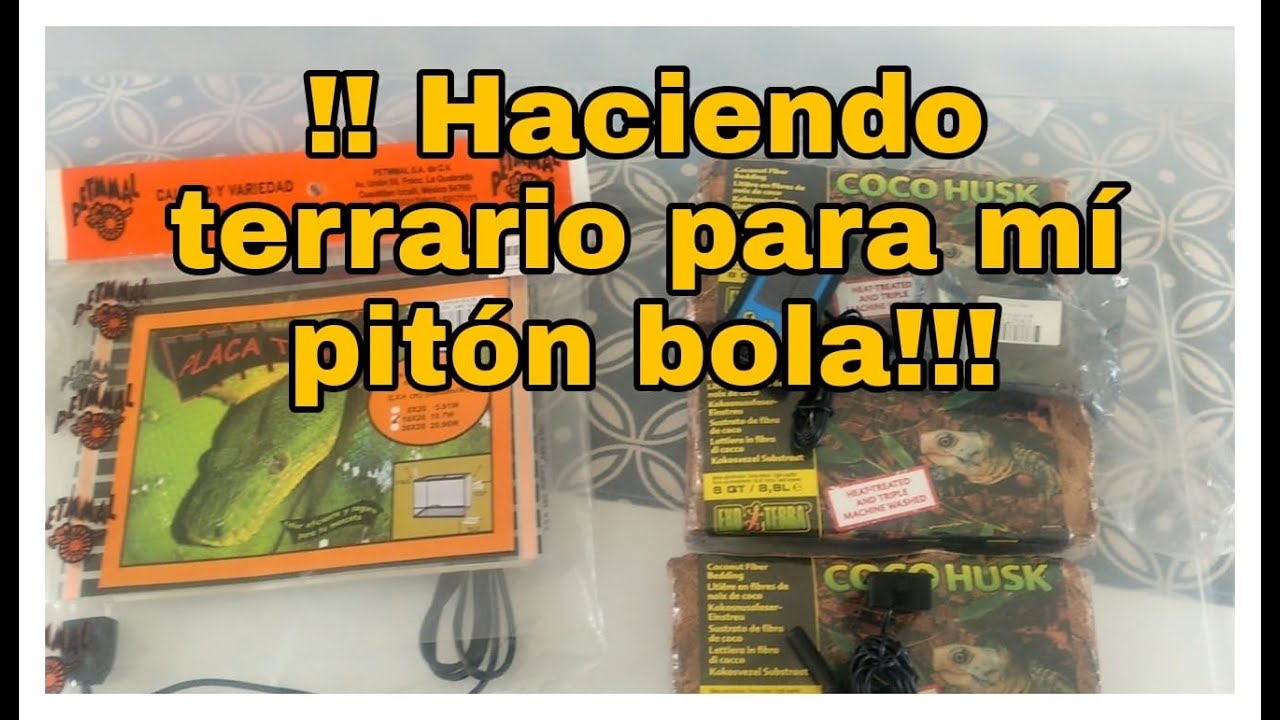 ¡¡¡Haciendo terrario para mi pitón bola!!!
