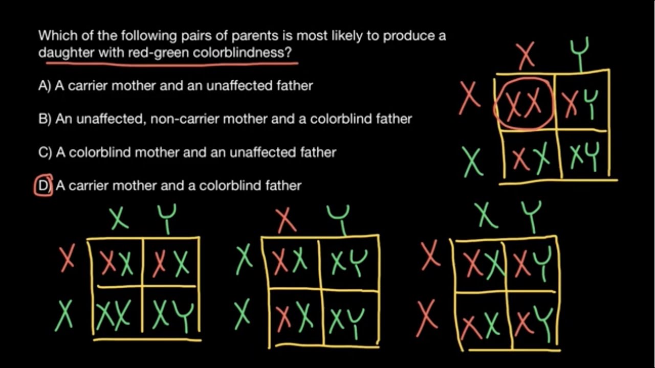Red-Green Color Blindness inheritance patterns explained