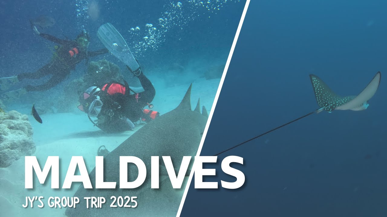 Maldives | JY's Group Trip | ZCUBA | Southern Cross