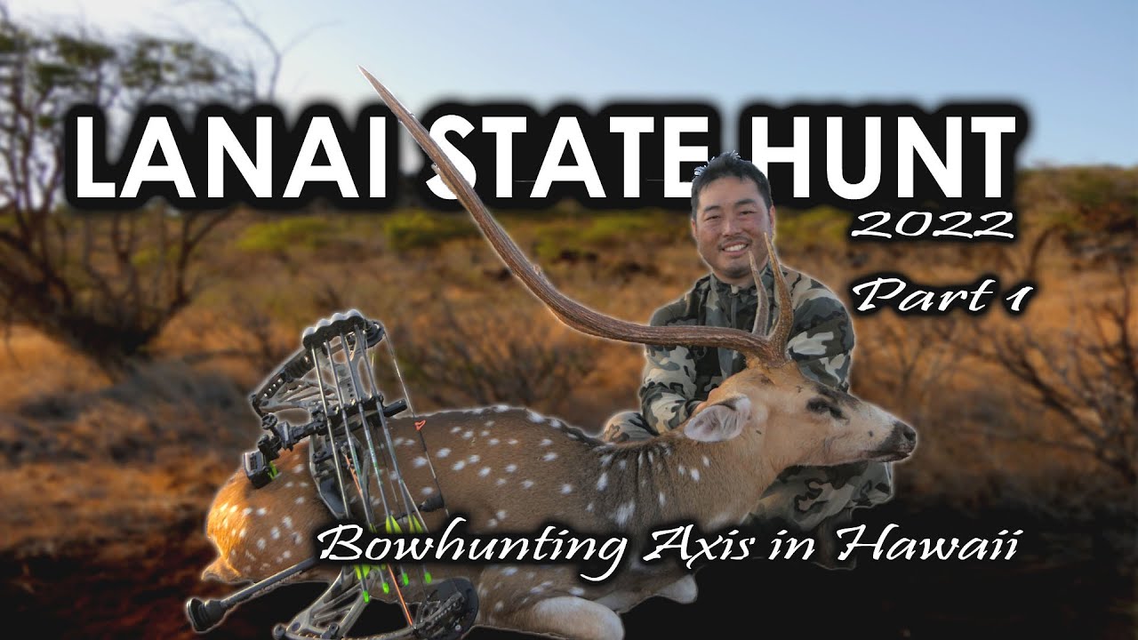 Hawaii Bowhunting : Lanai State Hunt 2022 Part 1