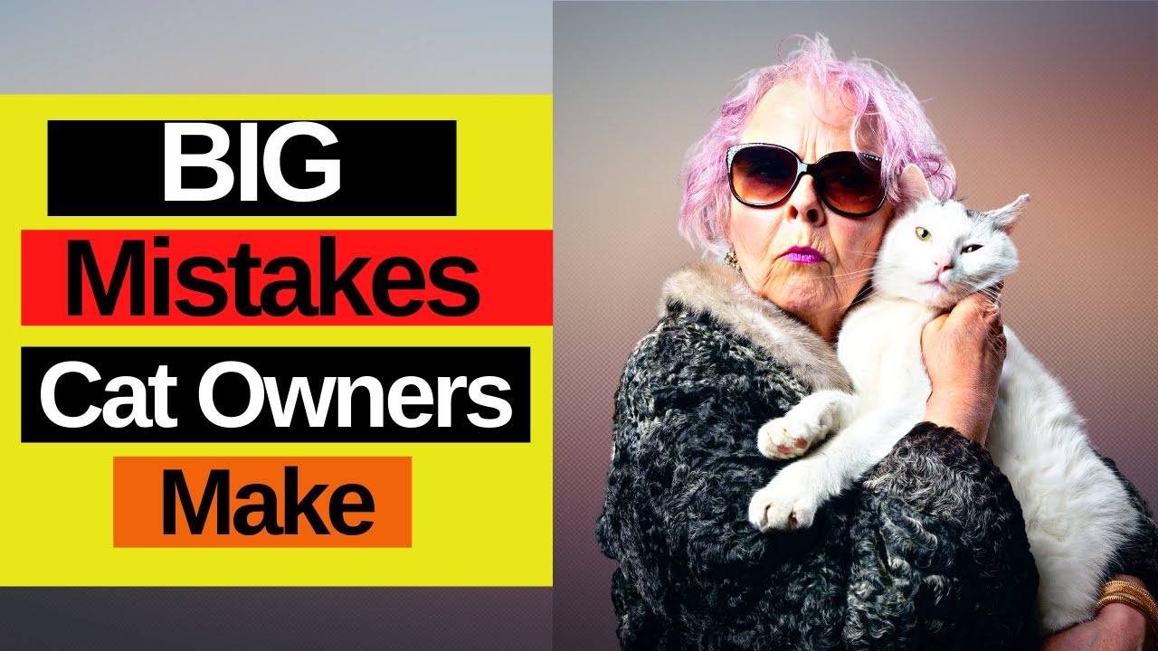 10 Mistakes Cat Owners Make - Must Watch So You Can Avoid Them!