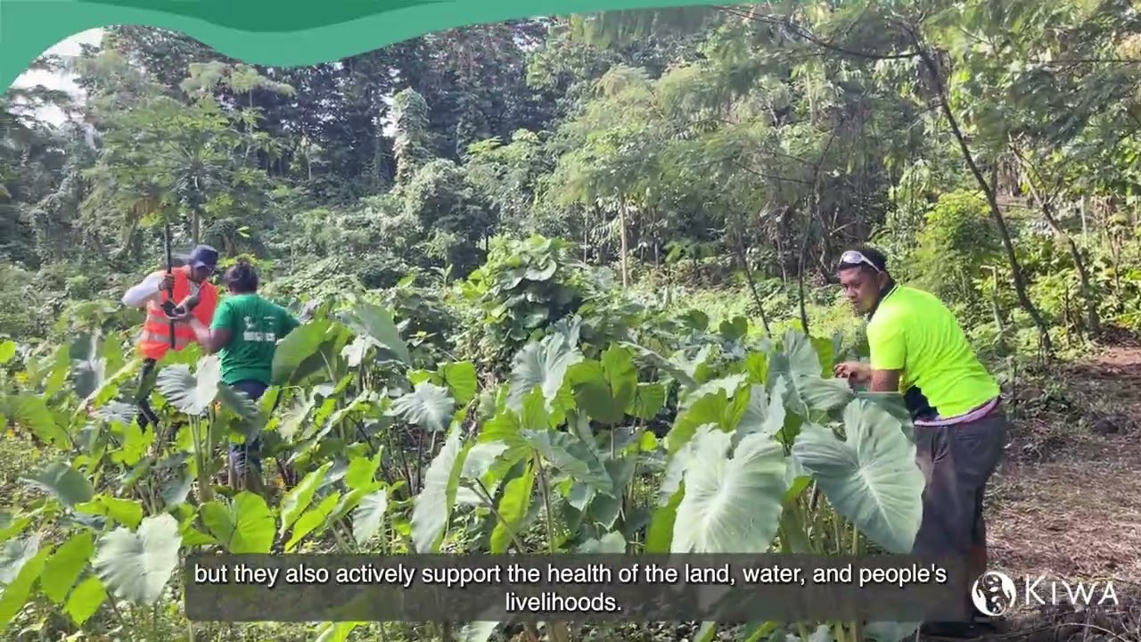 What is Nature based-Solutions (NbS)?