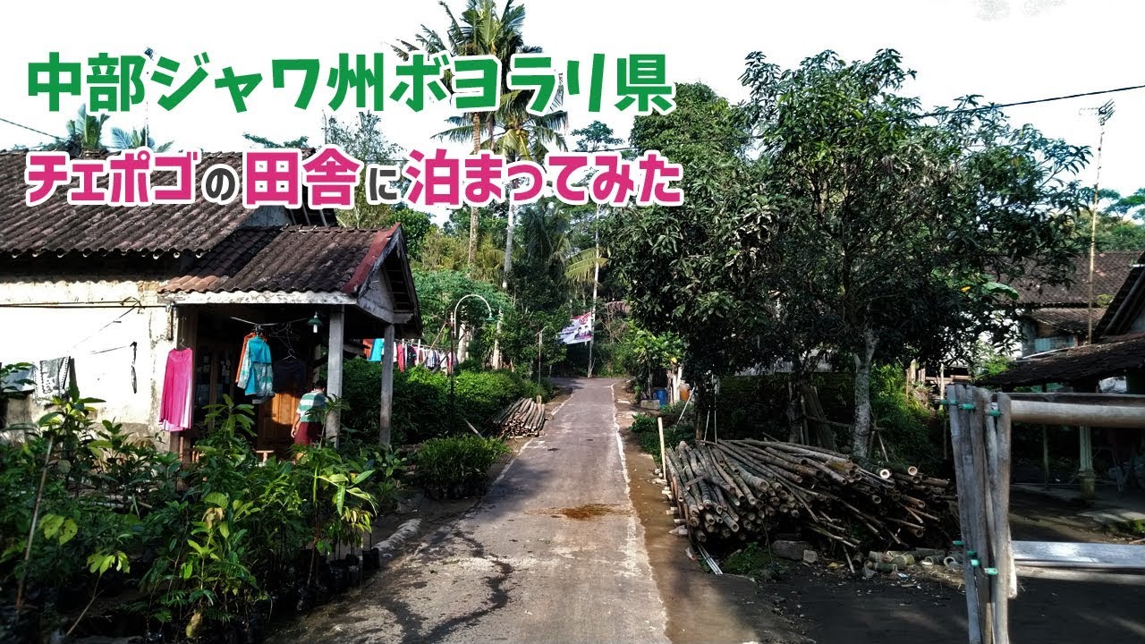 中部ジャワ州ボヨラリの田舎チェポゴに泊まってみた/Cepogo,Boyolali,Central Jawa,Indonesia