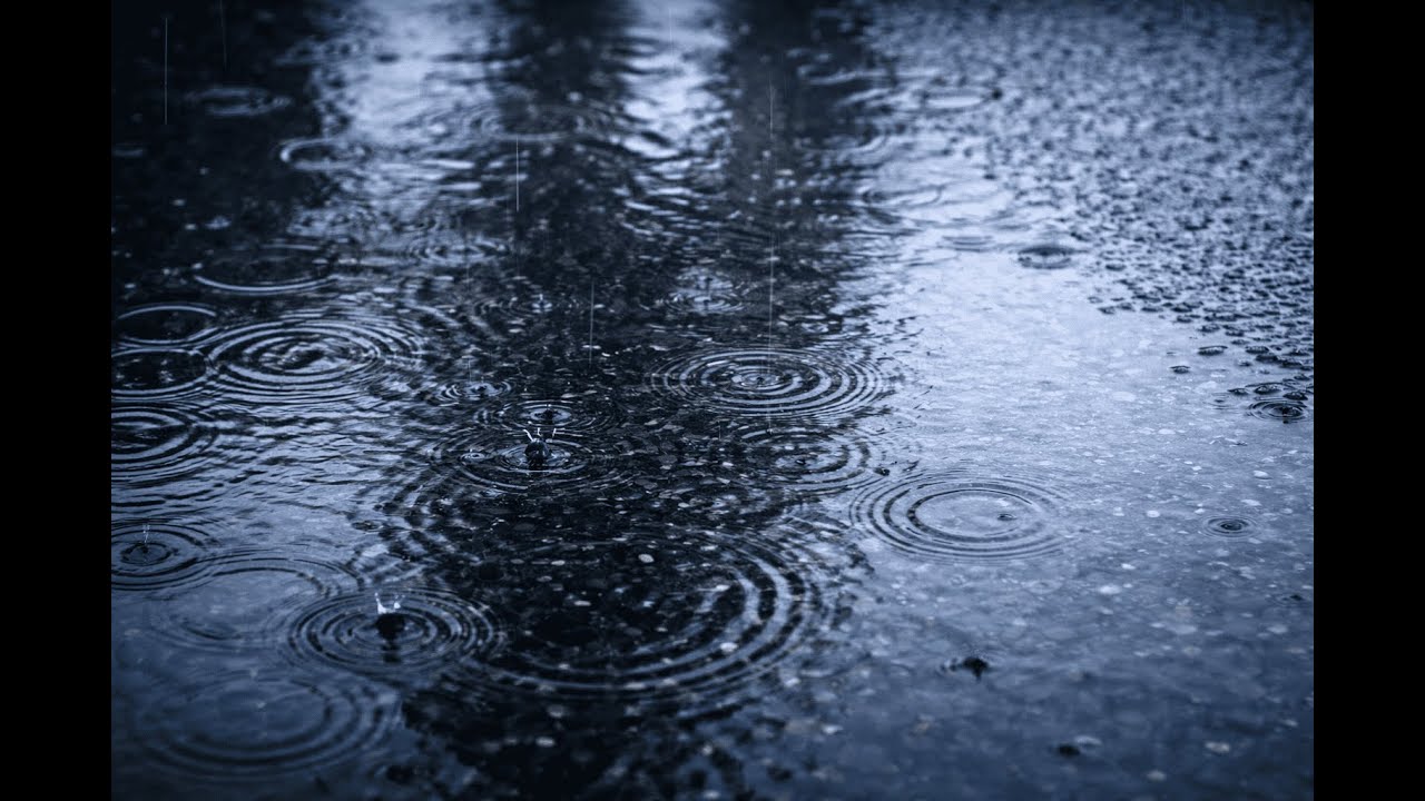 Rain Falling on a Puddle 🌧️ | 10 Hours of Pure Rain Sound for Sleep, Focus & Relaxation