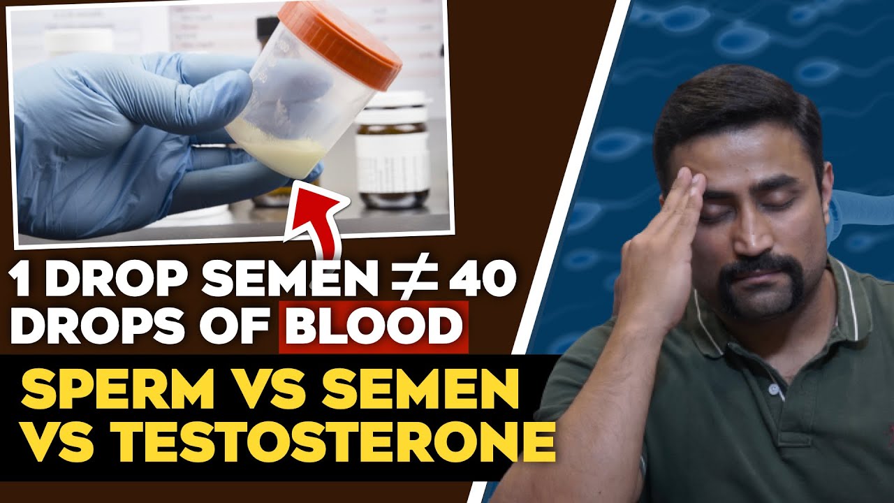 Sperm vs Semen vs Testosterone - how are they made, and the stupid things people say !!