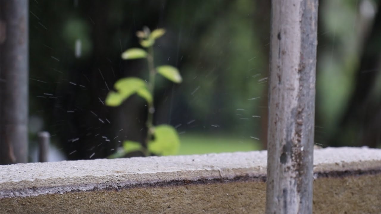 1 Hour Heavy Rain Ambience for the best Sleep tonight!