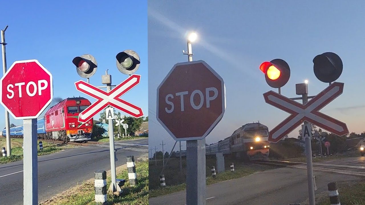 ЖД ПЕРЕЕЗД В БЕЛАРУСИ 🇧🇾 14.8.2024 (ЗА РОЖАНКОЙ) 74 ЧАСТЬ, ПОЕЗДА О. П. БОБРЫ 12 ЧАСТЬ