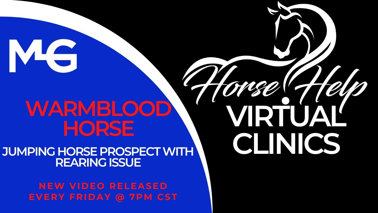 Jumping Horse Prospect With Rearing Issue | The Horse Guru - Michael Gascon