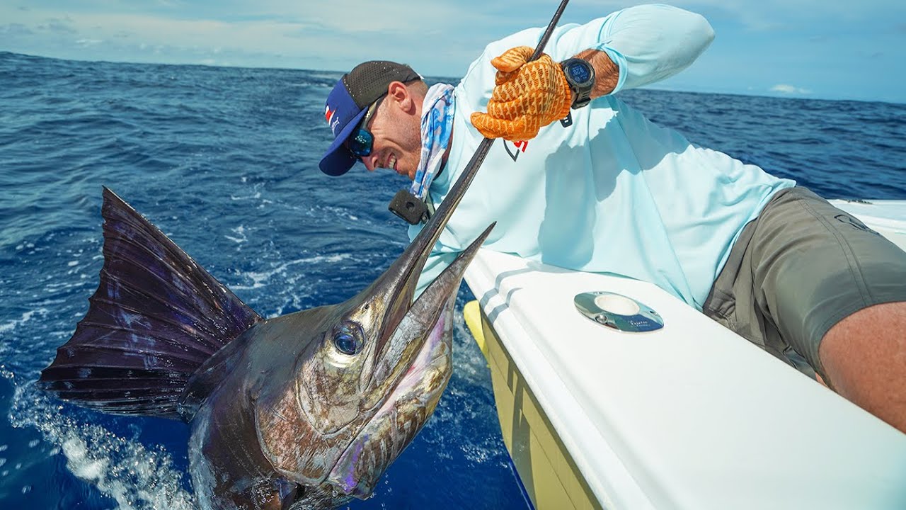 Chasing World’s Fastest Fish in Costa Rica! (Crocodile Bay Resort)