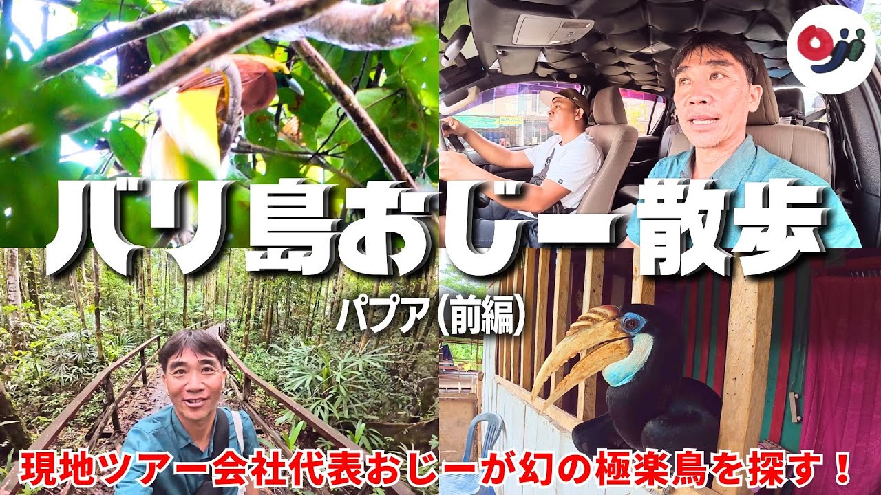 【前編】バリ島おじー散歩 in パプア｜幻の極楽鳥を探す旅の始まり