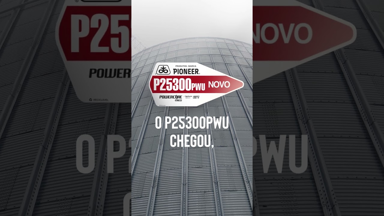P25300PWU: Produtividade de faltar silo