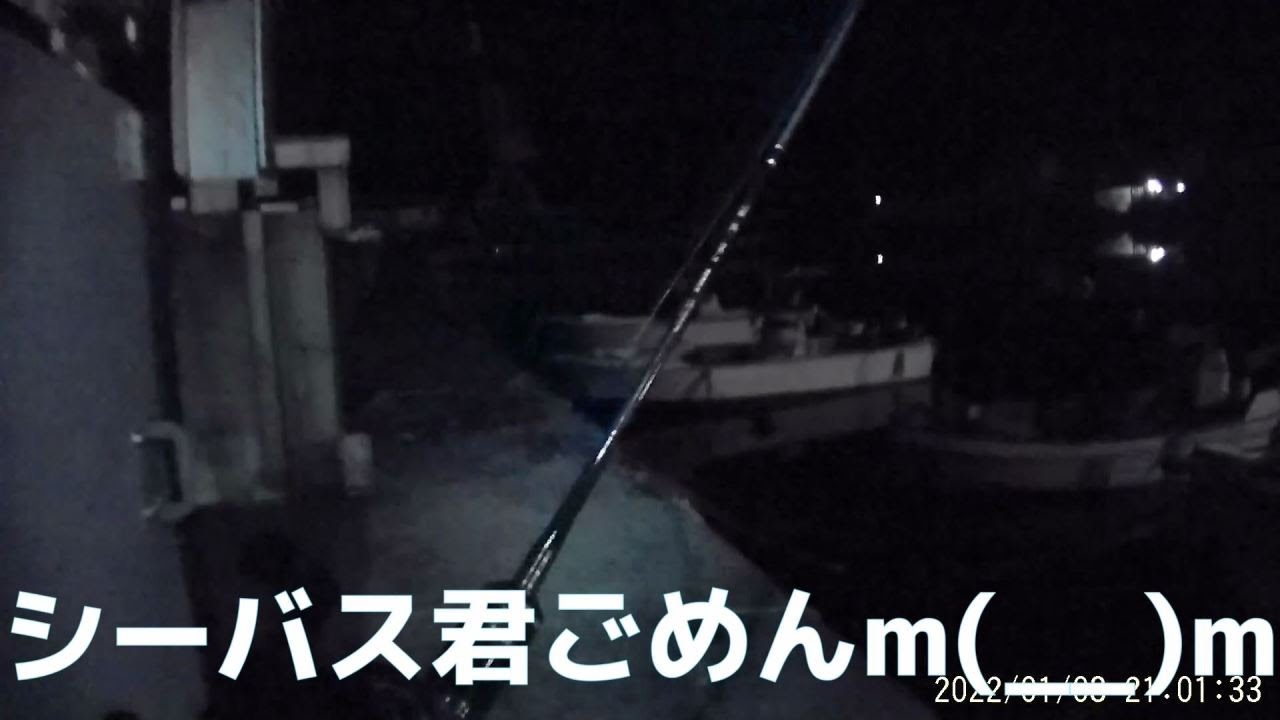 淡路釣行#1/3 シーバス君ごめんm(_ _)m