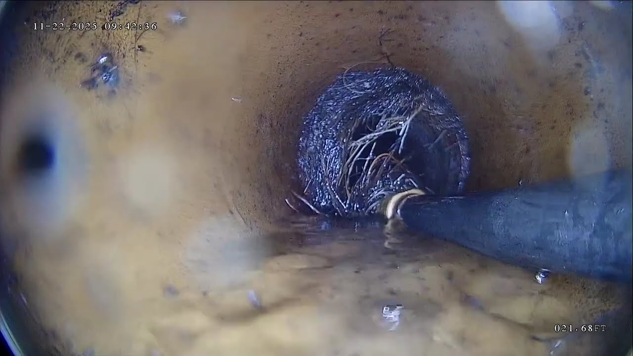 Drain Cleaning - 19 ⛓️📷😎💩