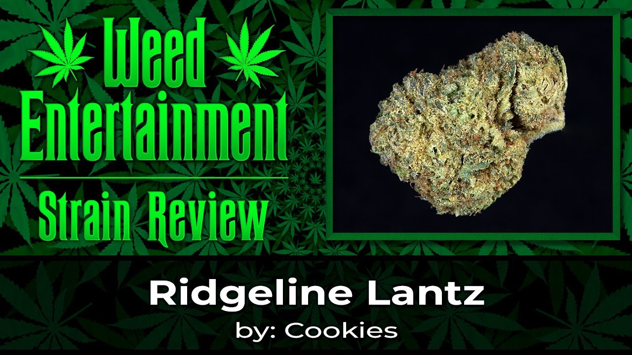 Ridgeline Lantz - by Cookies - Sept 2023