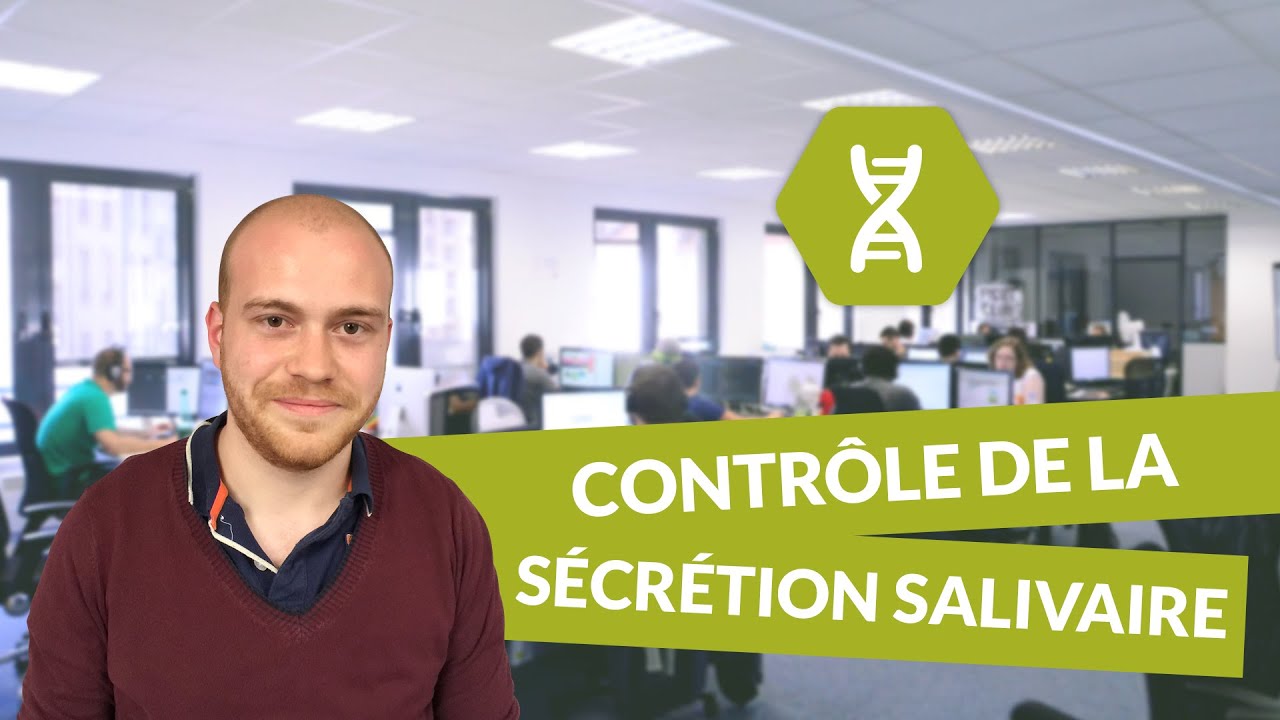 Contrôle de la sécrétion salivaire - Physiologie - digiSchool