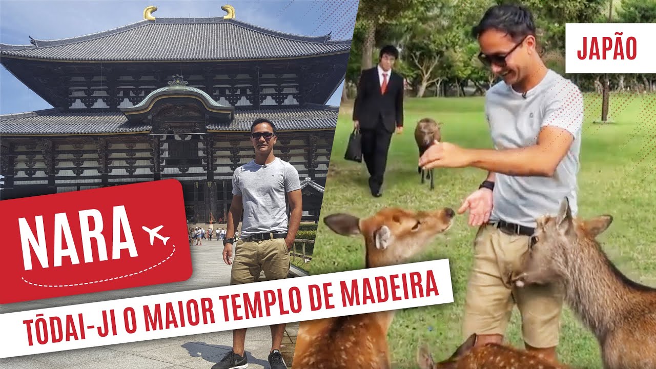 O maior templo de madeira do mundo fica em NARA no Japão