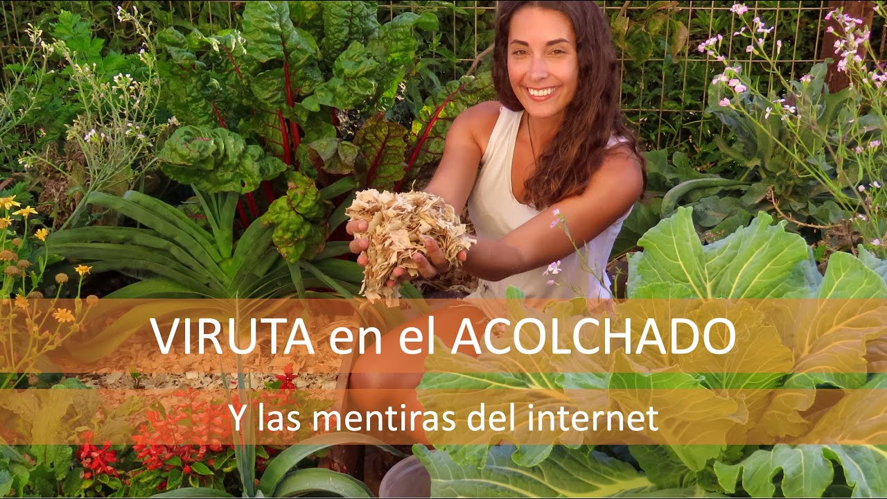 MULCH de VIRUTA y corteza? Bueno o malo