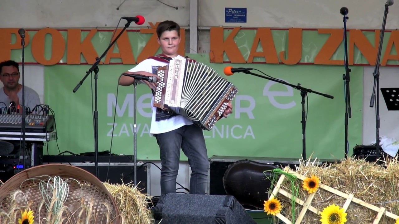 David Potočnik - Veseli kosci (v živo)