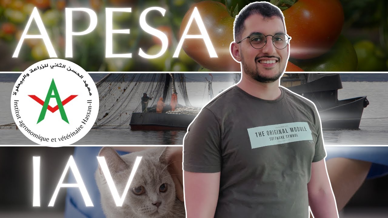 APESA -  IAV