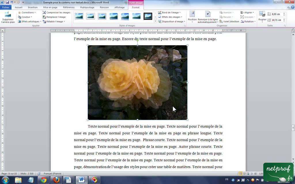 Word Insérer des images avec légende et texte de remplacement