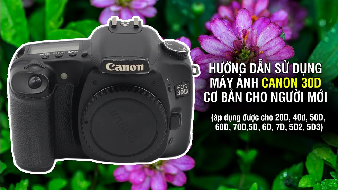 Hướng dẫn sử dụng máy ảnh Canon 30D cơ bản nhất cho người mới