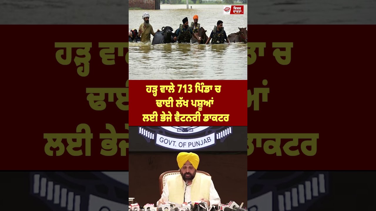 ਹੜ੍ਹ ਵਾਲੇ 713 ਪਿੰਡਾ ਚ ਢਾਈ ਲੱਖ ਪਸ਼ੂਆਂ  ਲਈ ਭੇਜੇ ਵੈਟਨਰੀ ਡਾਕਟਰ
