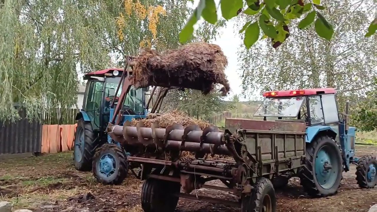 Тракторы МТЗ-52. Грузим навоз.