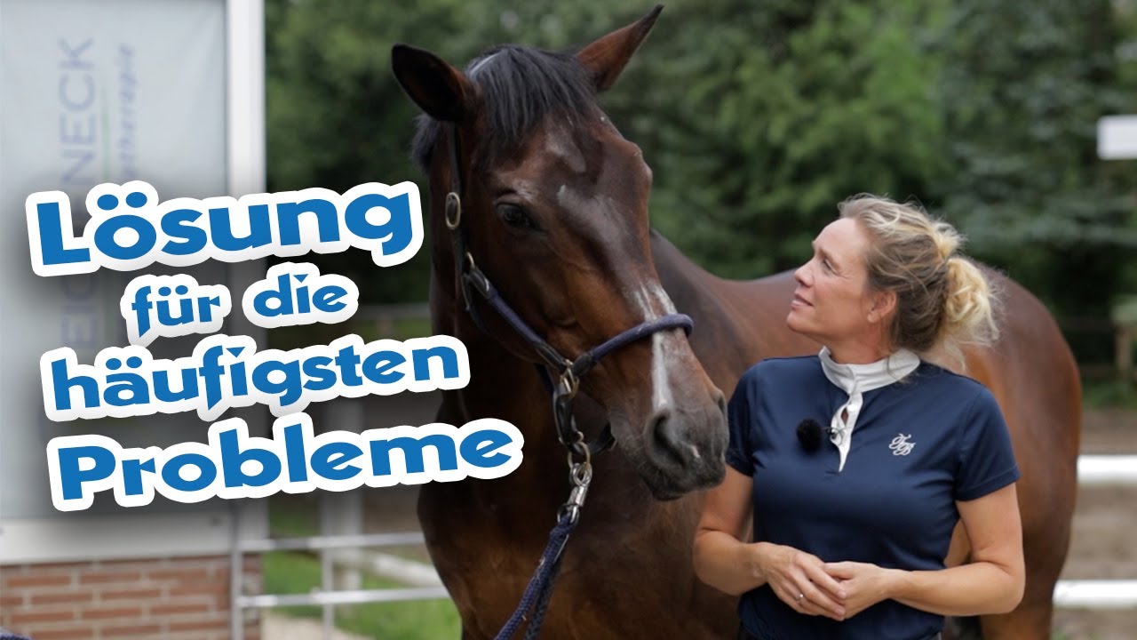 Magenprobleme beim Pferd - Ursachen finden und beheben - Pferden ein schmerzfreies Leben ermöglichen