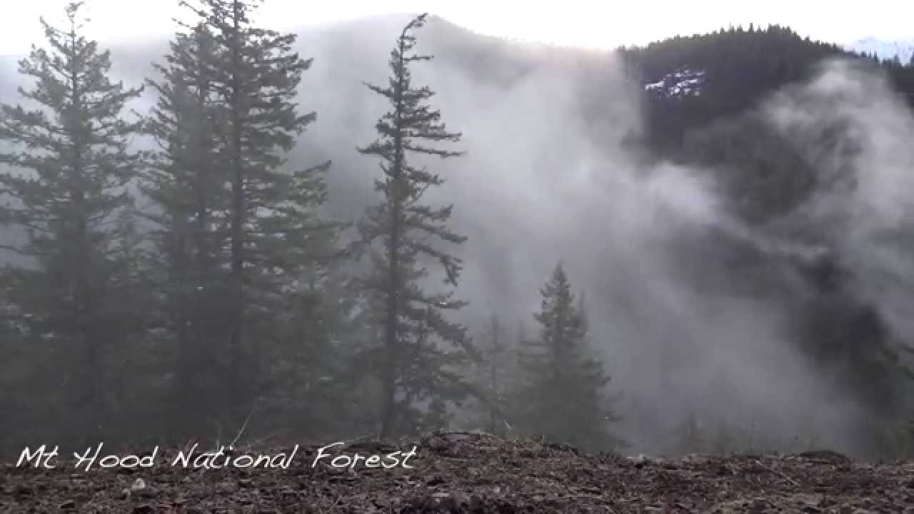 Climbing in the Salmon River Canyon