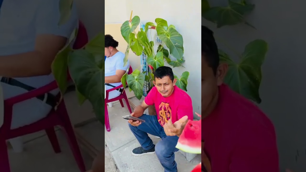 EL GATITO NOS INVITO EL LONCHE