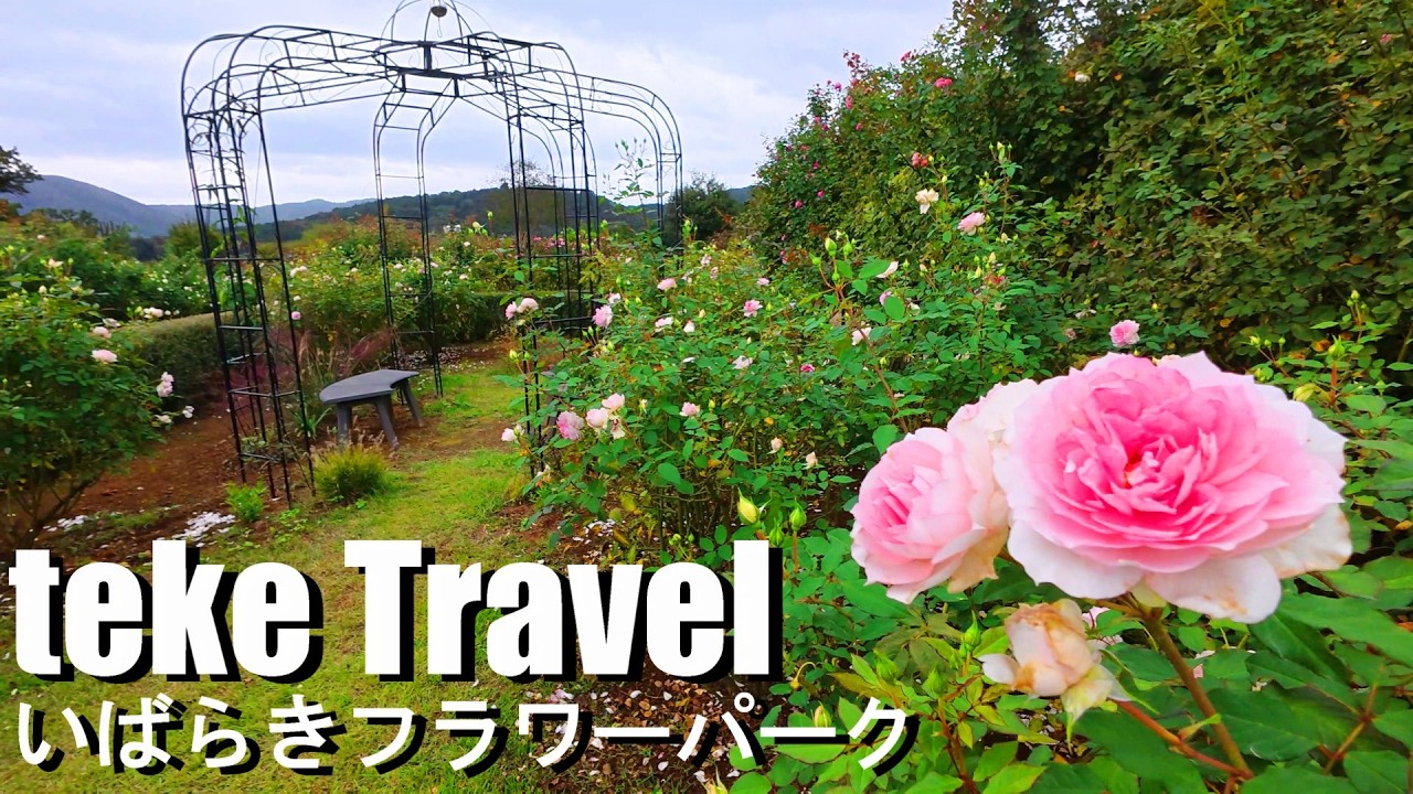【観光】いばらきフラワーパーク/茨城県石岡市 色とりどりのバラに囲まれて幸せ気分