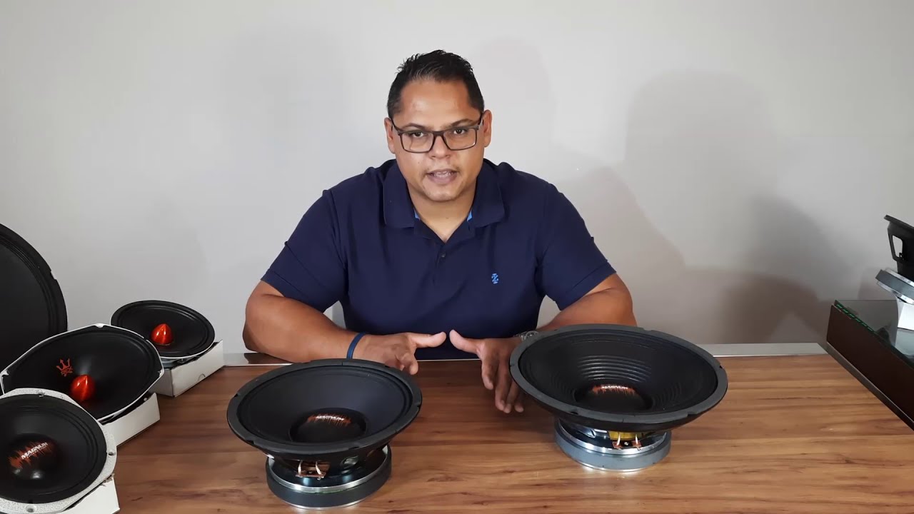 LINHA PROFISSIONAL 350W RMS | MEDIO GRAVE