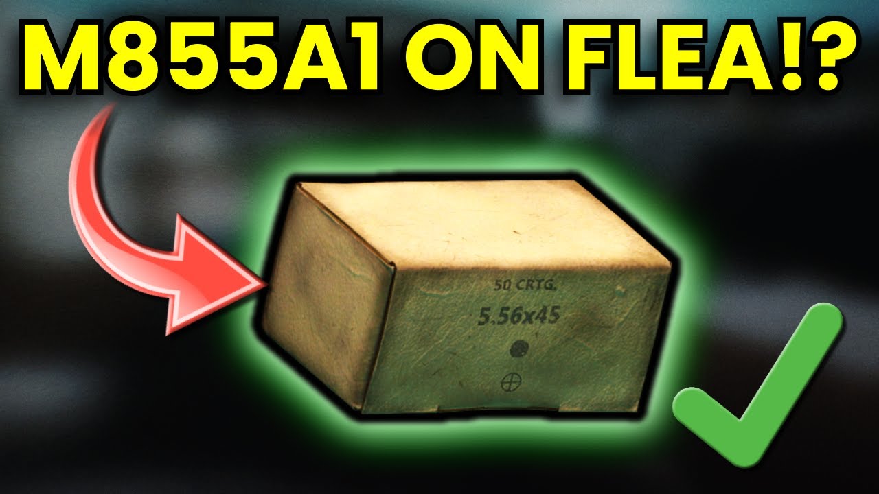 Tarkov’s WILD Ammo Update - Meta Rounds Are BACK!