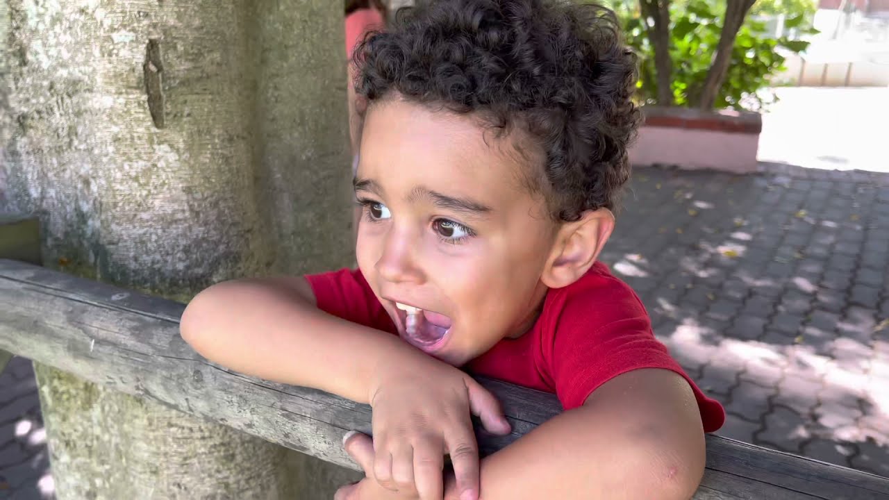 O Taylor ficou impressionado com tantos animais!!! ZOOLOGICO DE LISBOA 🤩🇵🇹