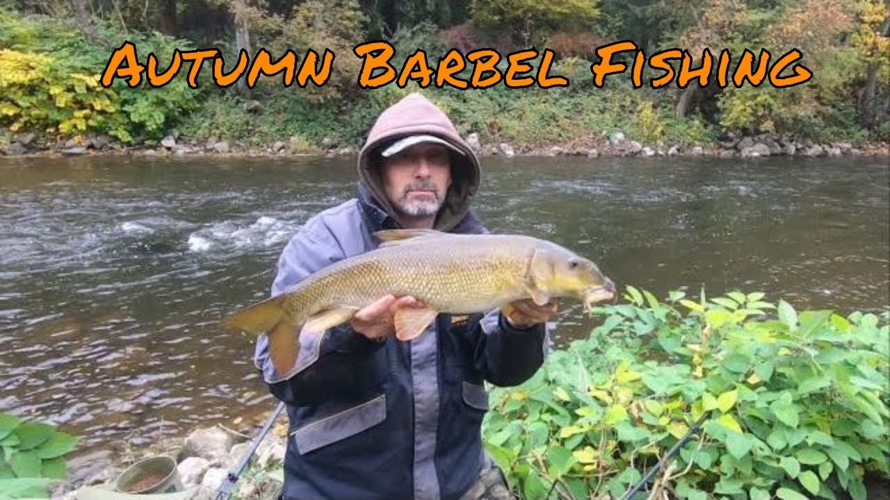 Autumn Barbel Fishing On The River Ourthe Ep.10 | P&ecirc;che du barbeau en automne dans l'Ourthe Ep.10