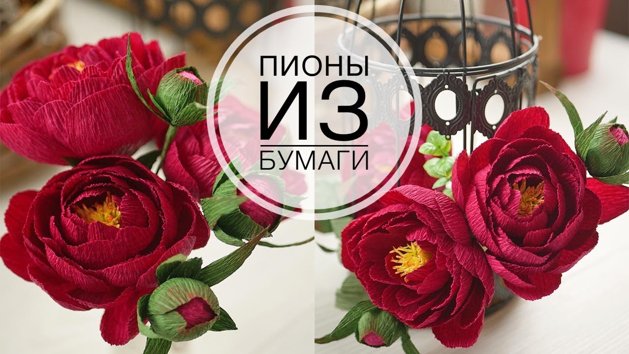 PEONY from paper for flower arrangements /ПИОНЫ из  бумаги для цветочных композиций /DIY TSVORIC