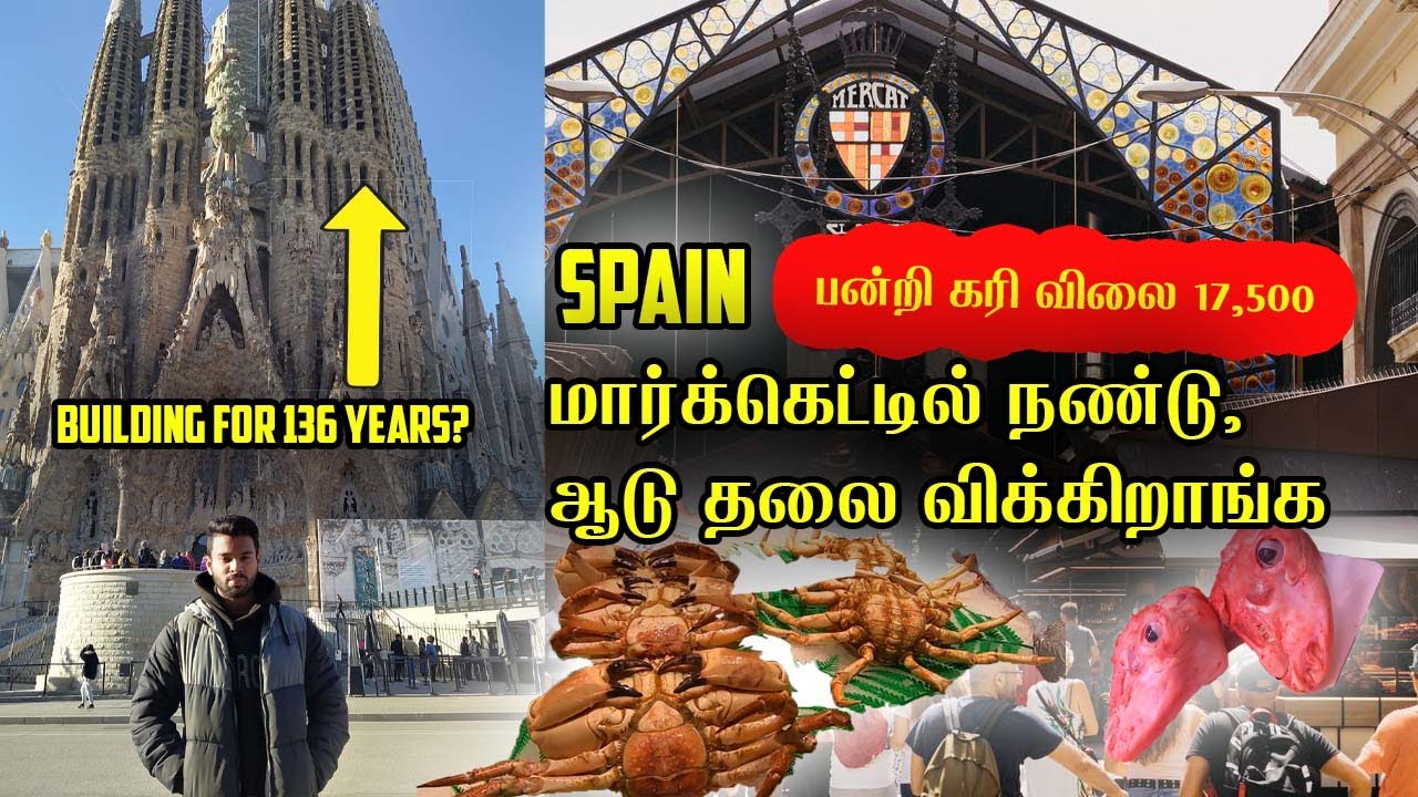Spain இப்படி இருக்கும்னு நினைச்சுகூட பாக்கல Shocking day 1 in Barcelona