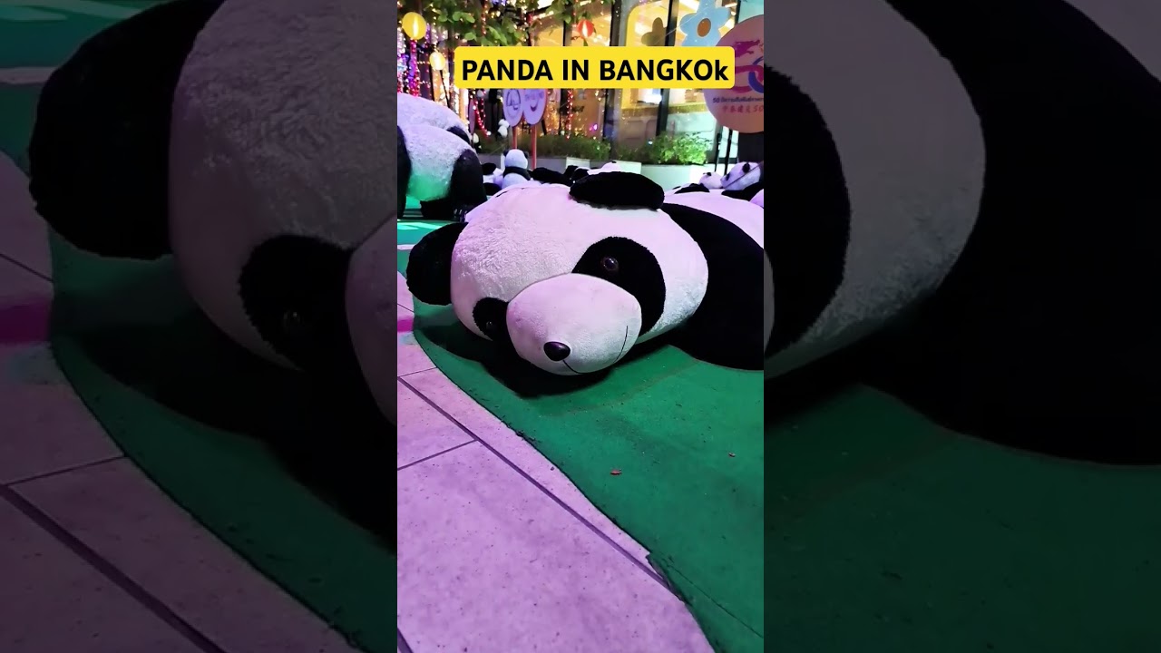 PandaBangkok#PandaEmporiumMall#EmporiumMallBangkok#EmporiumMallEats#PandaRestaurant#BangkokDining
