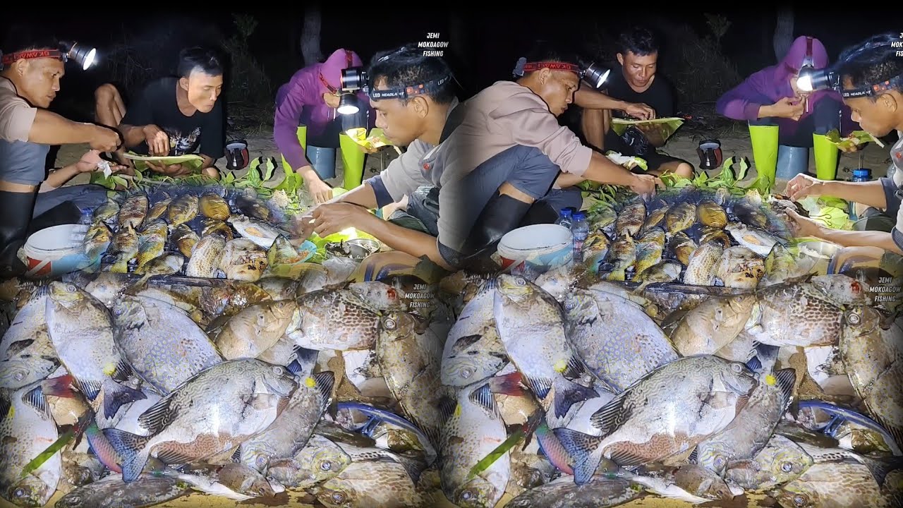 Berburu malam mencari ikan & cumi-cumi