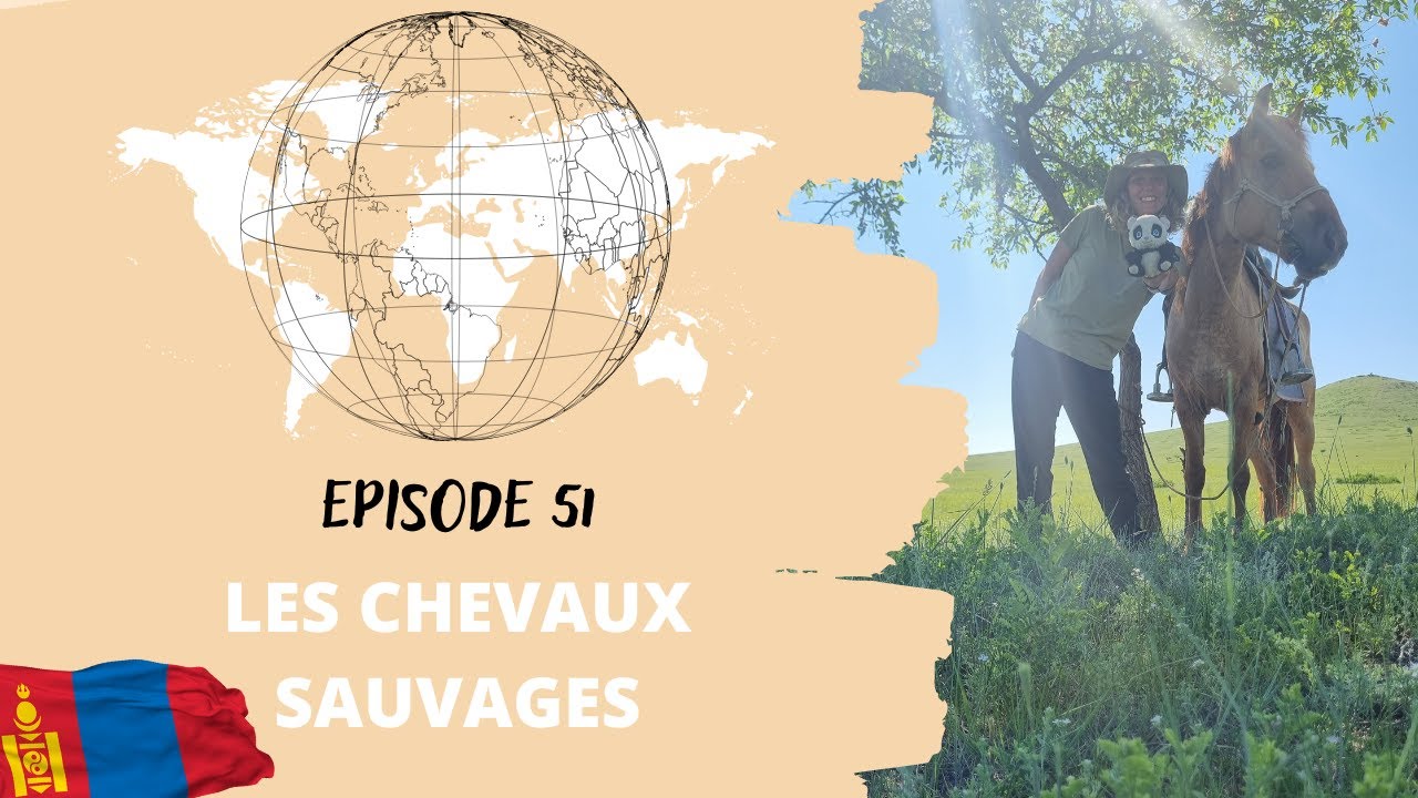 Episode 51 : Où sont les chevaux ?