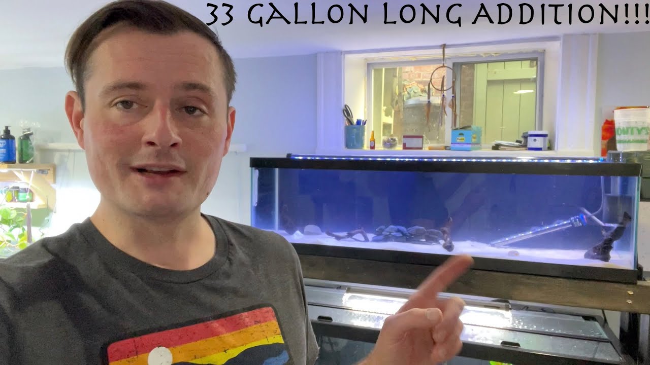 Adding a 33 Gallon Long Aquarium to the Fishroom