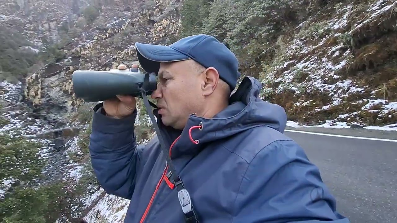 Monal Point Chopta Bhulkand | Himalayan Monal || Birds Hotspot | Chopta Birding Guide Bharat Puspwan