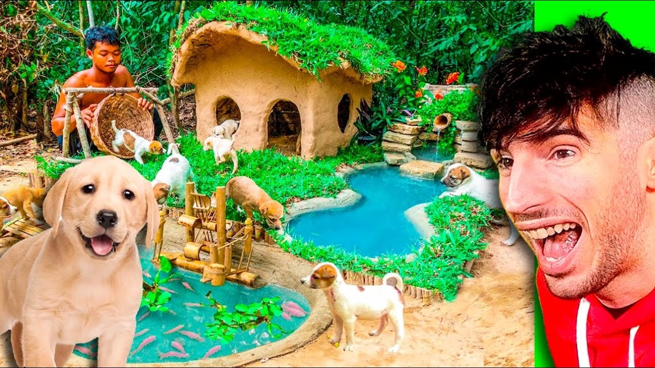 ESTE VÍDEO TE ABLANDARÁ EL CORAZÓN RESCATA A 4 PERRITOS Y LE CONSTRUYE UNA CASA !!