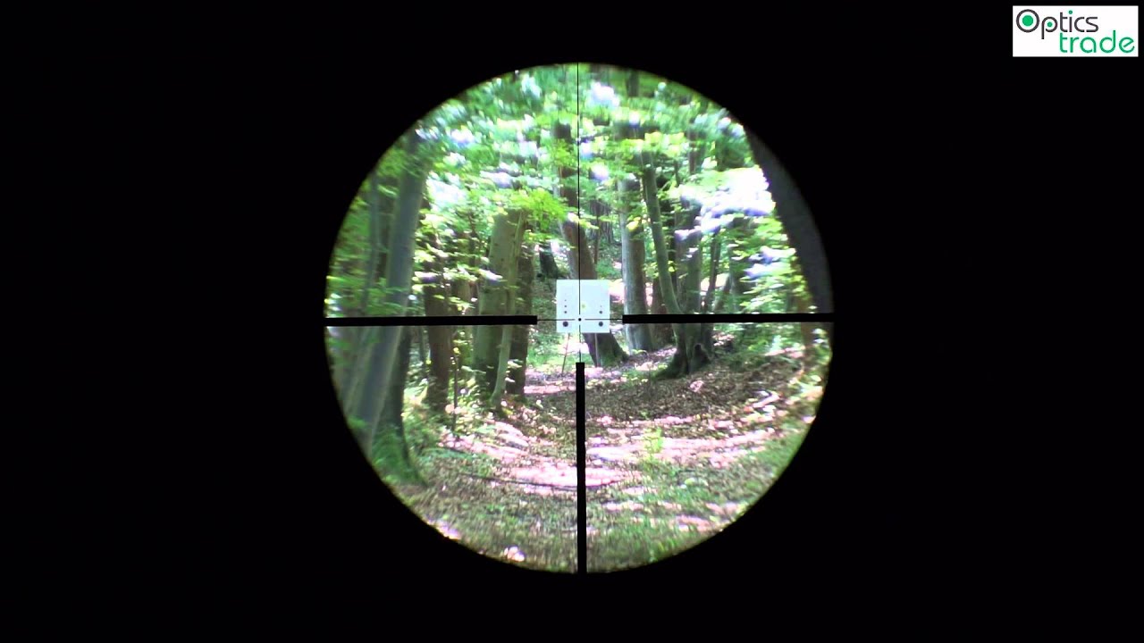 Burris Four X 1-4x24 Reticle 4LP subtensions