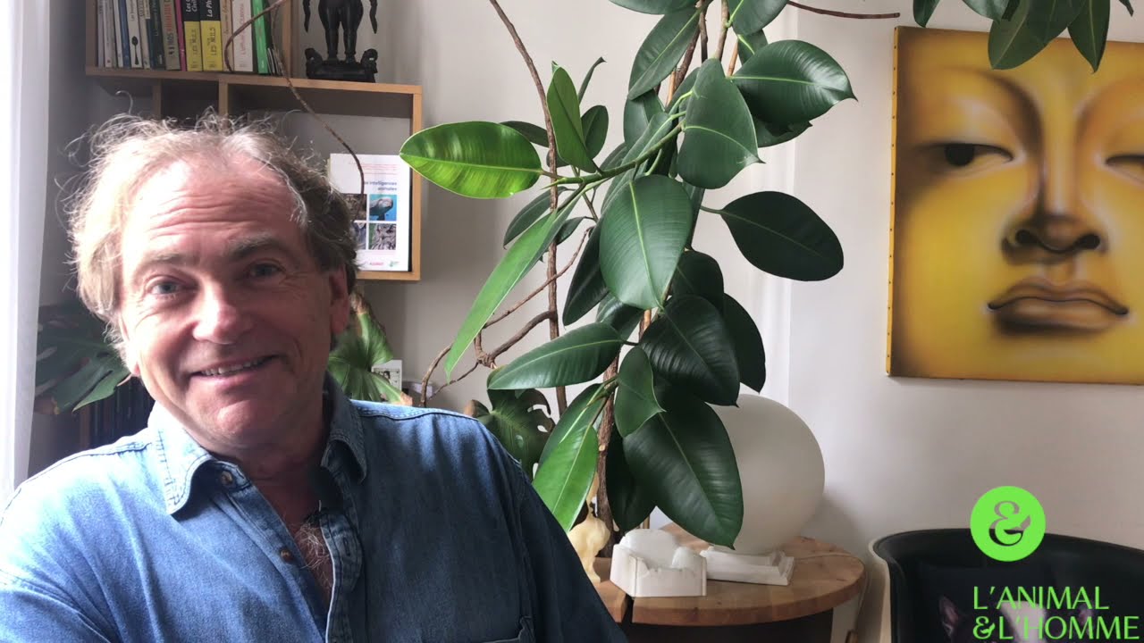 Interview 10 de Didier Van Cauwelaert : Des animaux et des hommes