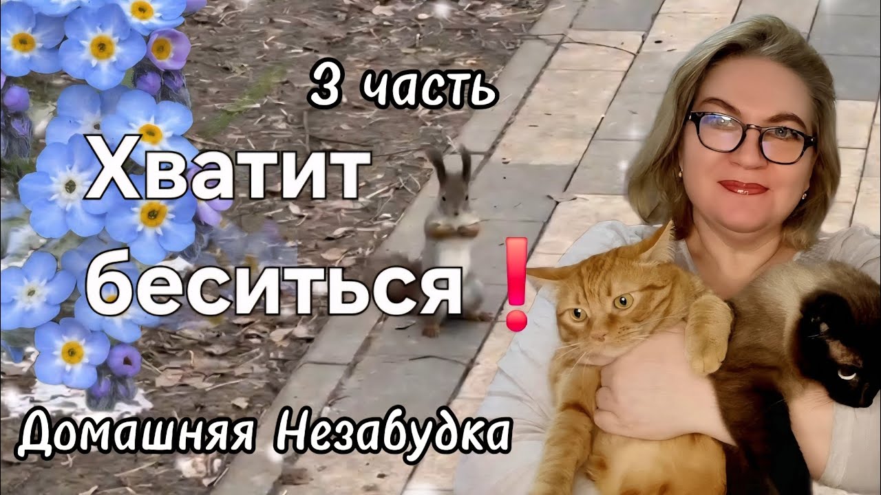 Хватит беситься❗️