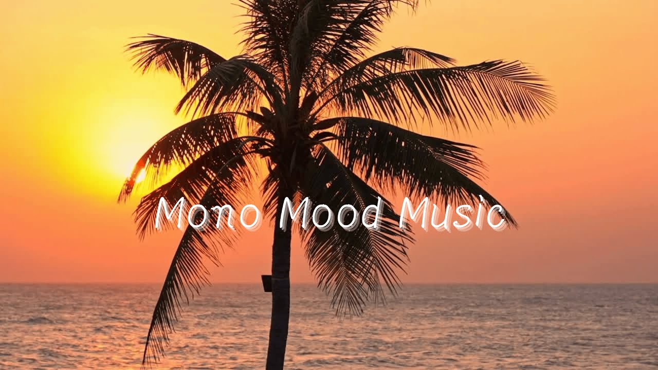 Island Chill | Sunset Colors, Salt Air, and Nothing to Rush