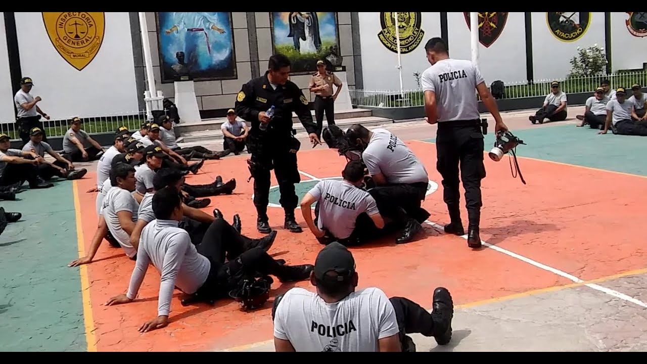 ARMAPOL: DEFENSA PERSONAL POLICIAL Y CONTROL FISICO