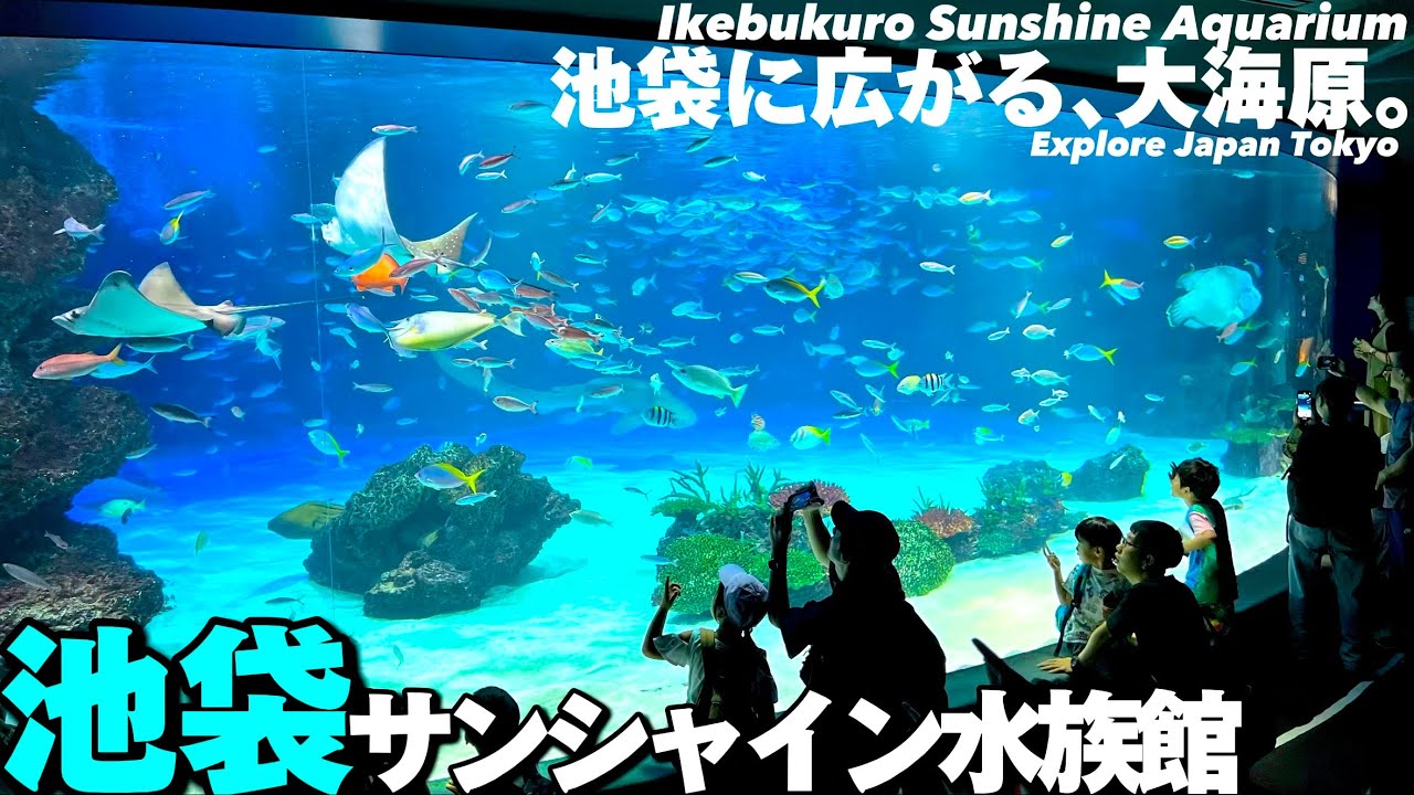 🐬【4K.サンシャイン水族館】池袋にある超人気水族館をぐるっとご案内【サンシャイン60|池袋駅】Walking tour Ikebukuro Sunshine Aquarium.TokyoTravel
