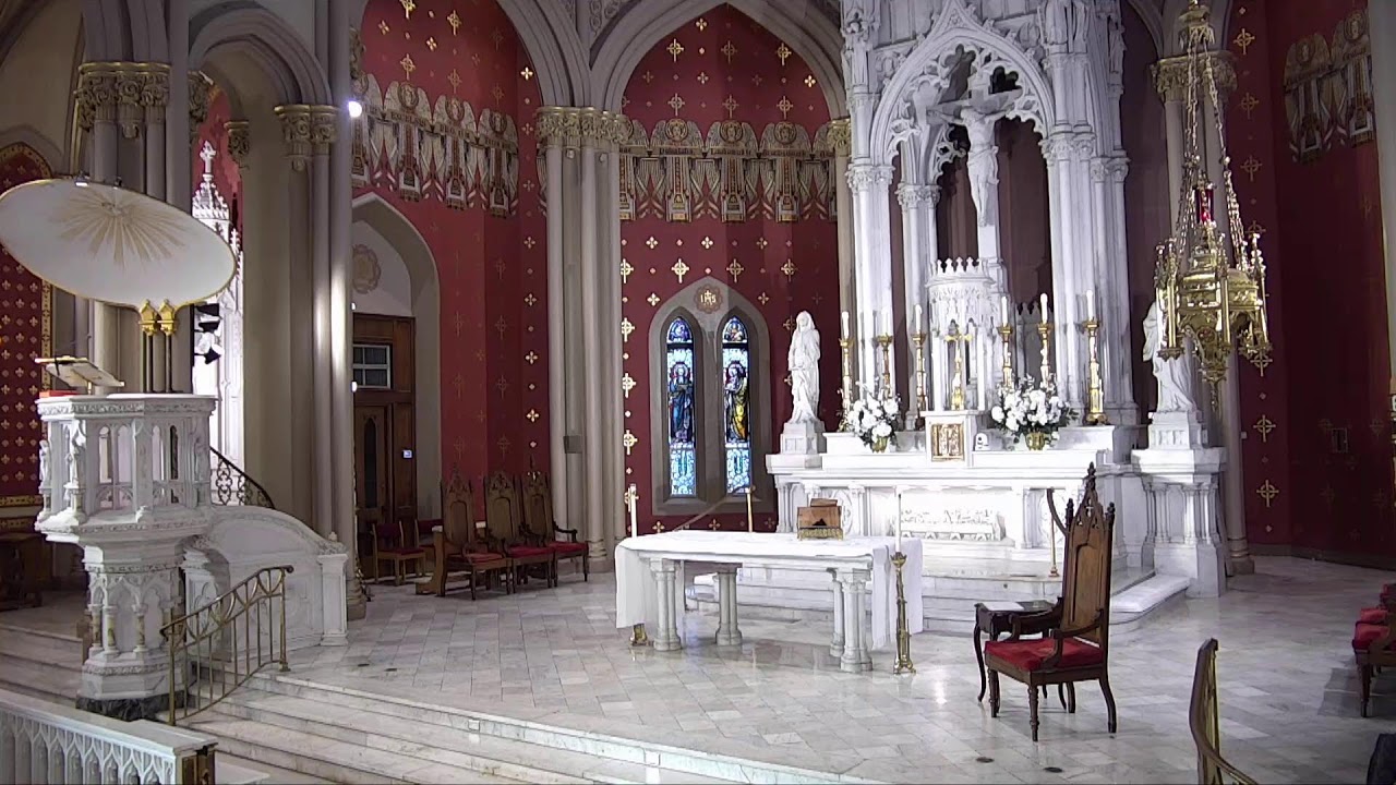 2026 0207 HNJ Sunday Vigil Mass - Fifth Sunday in Ordinary Time